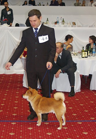 Kynologická revue - www.dogsk.sk