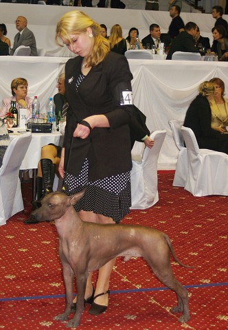 Kynologická revue - www.dogsk.sk