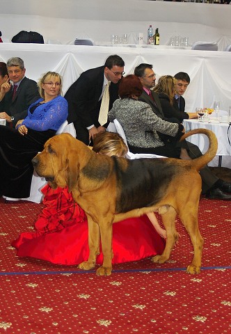 Kynologická revue - www.dogsk.sk