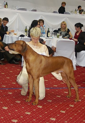 Kynologická revue - www.dogsk.sk