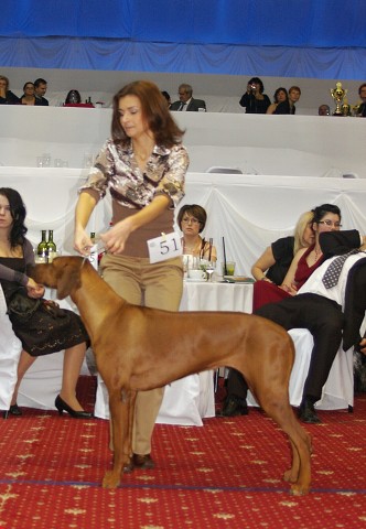 Kynologická revue - www.dogsk.sk