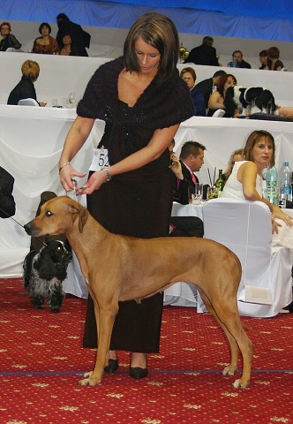 Kynologická revue - www.dogsk.sk