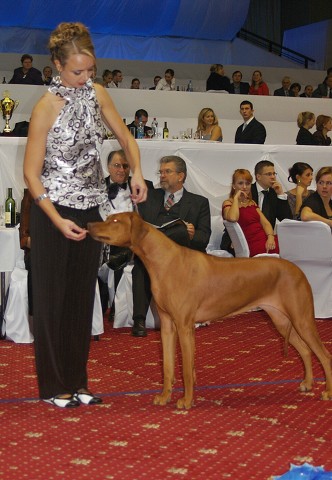 Kynologická revue - www.dogsk.sk