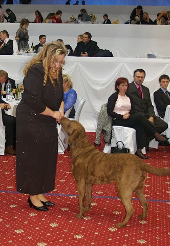 Kynologická revue - www.dogsk.sk