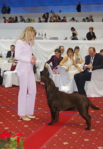 Kynologická revue - www.dogsk.sk