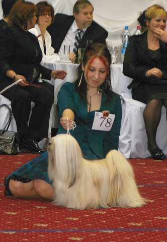 Kynologická revue - www.dogsk.sk