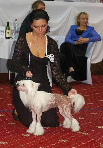 Kynologická revue - www.dogsk.sk
