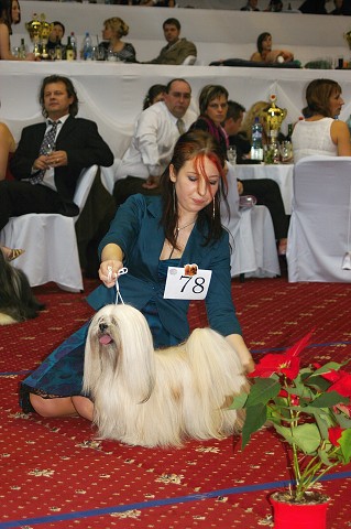 Kynologická revue - www.dogsk.sk