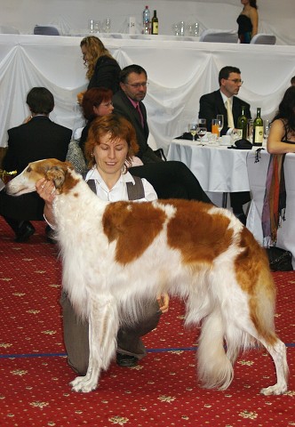 Kynologická revue - www.dogsk.sk