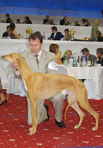 Kynologická revue - www.dogsk.sk