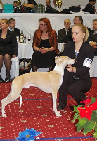 Kynologická revue - www.dogsk.sk