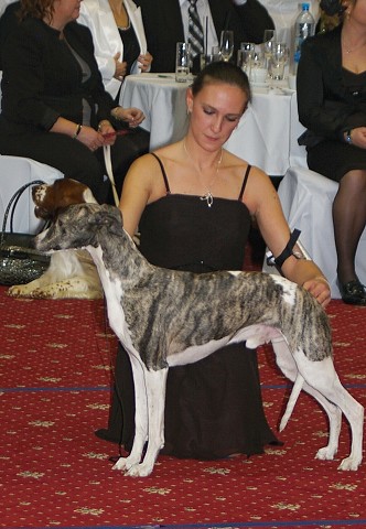 Kynologická revue - www.dogsk.sk