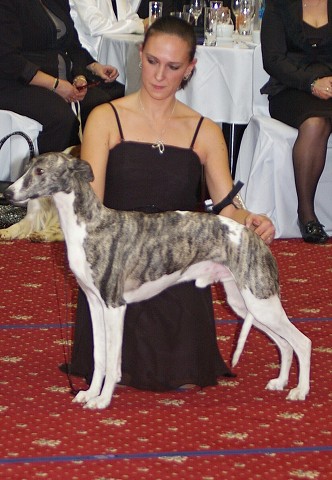 Kynologická revue - www.dogsk.sk