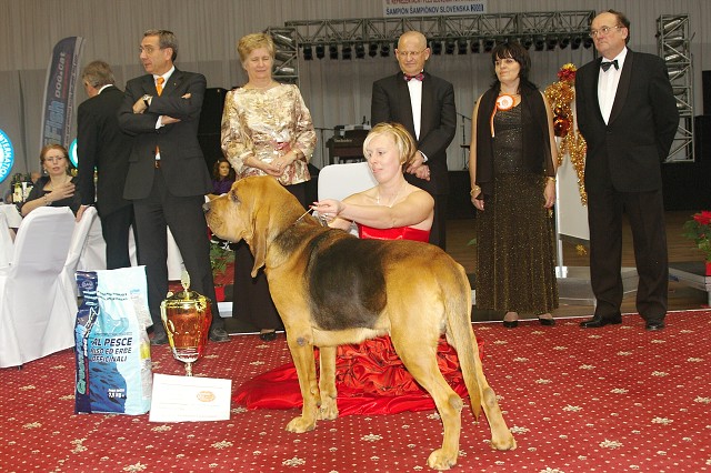 Kynologická revue - www.dogsk.sk