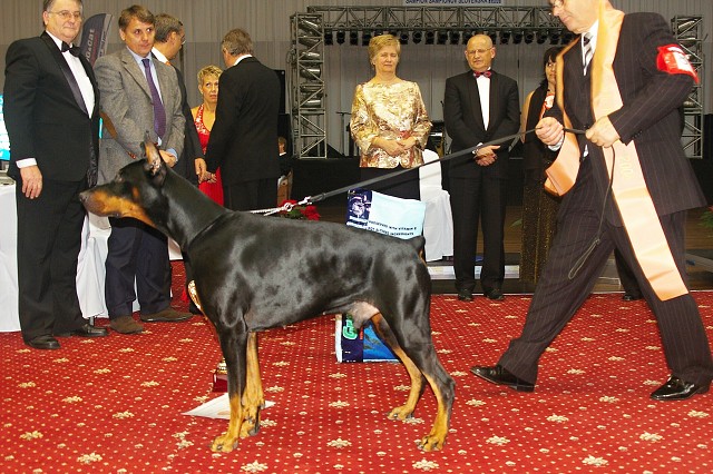Kynologická revue - www.dogsk.sk