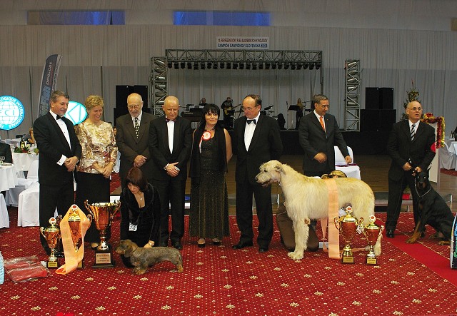 Kynologická revue - www.dogsk.sk