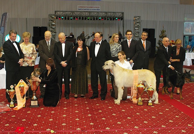Kynologická revue - www.dogsk.sk