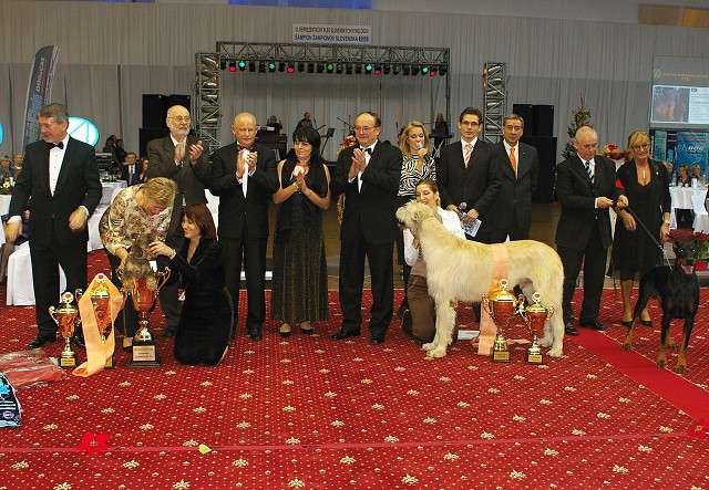 Kynologická revue - www.dogsk.sk
