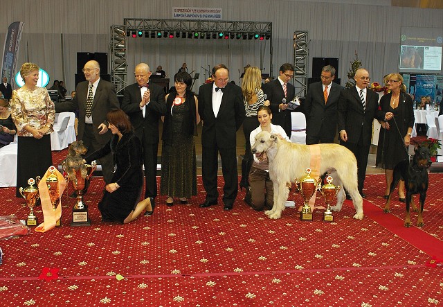 Kynologická revue - www.dogsk.sk