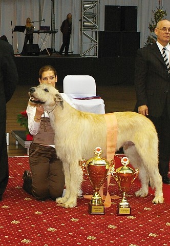 Kynologická revue - www.dogsk.sk
