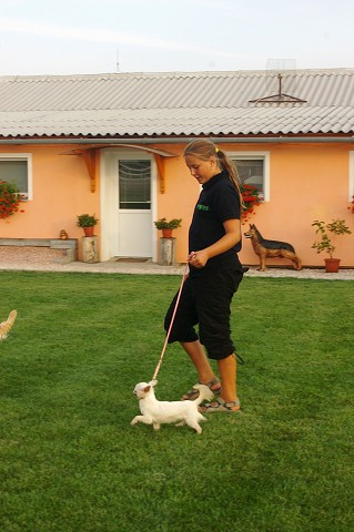 Kynologická revue * Z POLYTANU * EUKANUBA