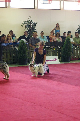 Kynologická revue - www.dogsk.sk