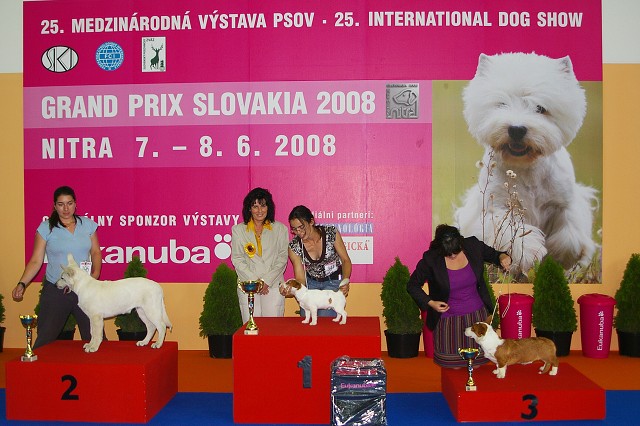 Kynologická revue - www.dogsk.sk