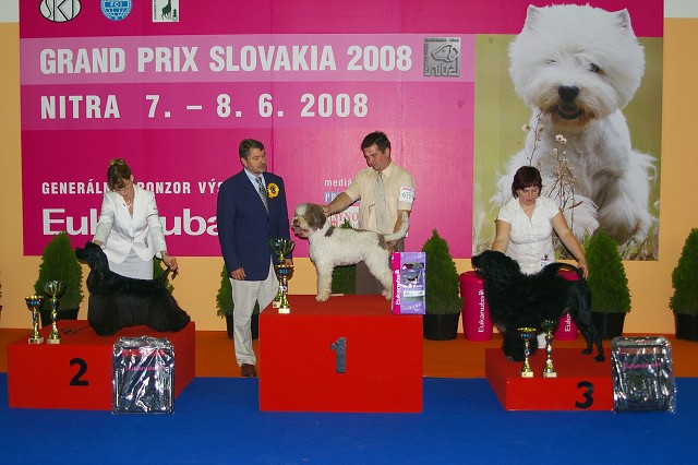 Kynologická revue - www.dogsk.sk