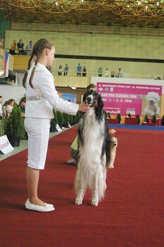 Kynologická revue - www.dogsk.sk