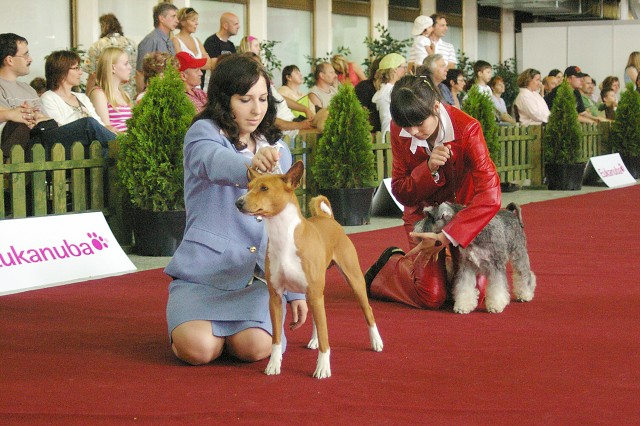 Kynologická revue - www.dogsk.sk