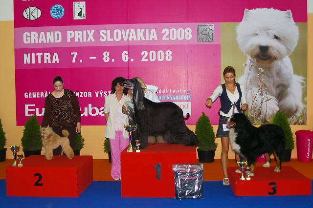 Kynologická revue - www.dogsk.sk
