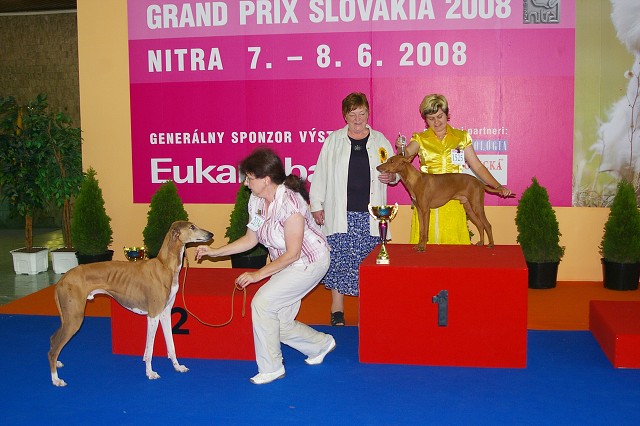Kynologická revue - www.dogsk.sk