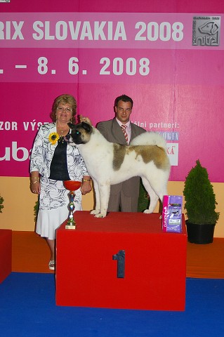 Kynologická revue - www.dogsk.sk