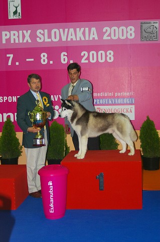 Kynologická revue - www.dogsk.sk