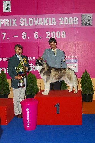 Kynologická revue - www.dogsk.sk
