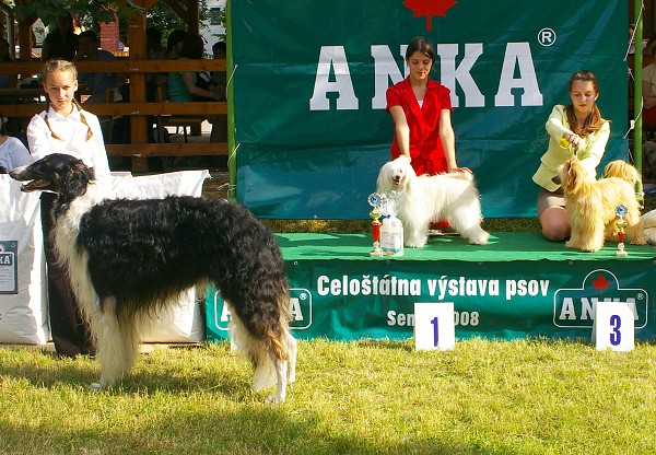 CVP Senec 6. 6. 2008