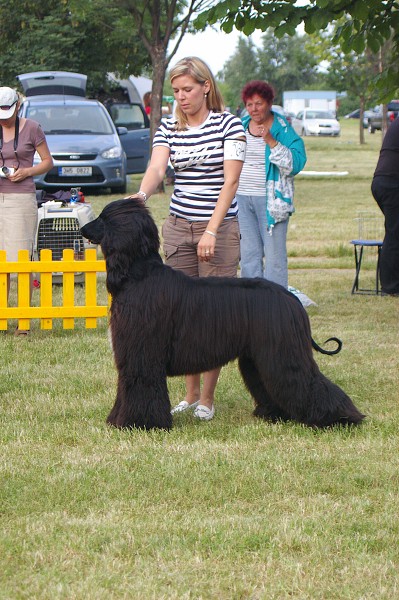 CVP Senec 6. 6. 2008