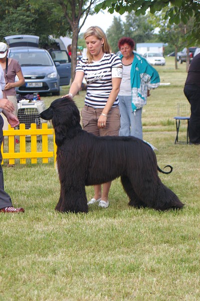 CVP Senec 6. 6. 2008