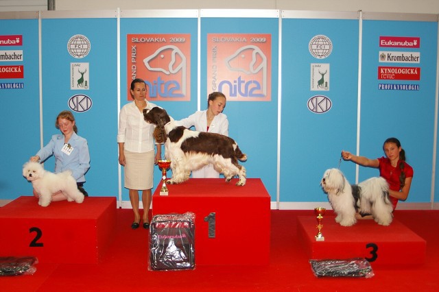 www.dogsk.sk * Kynologická revue * www.eurodog.eu