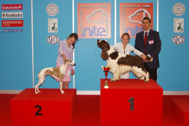 www.dogsk.sk * Kynologická revue * www.eurodog.eu
