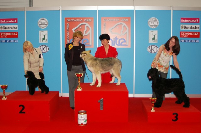 www.dogsk.sk * Kynologická revue * www.eurodog.eu