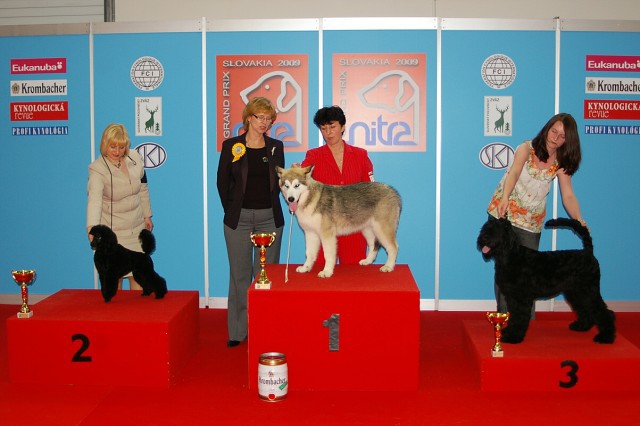 www.dogsk.sk * Kynologická revue * www.eurodog.eu