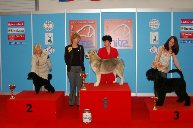 www.dogsk.sk * Kynologická revue * www.eurodog.eu