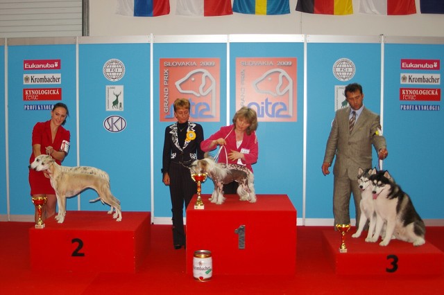www.dogsk.sk * Kynologická revue * www.eurodog.eu