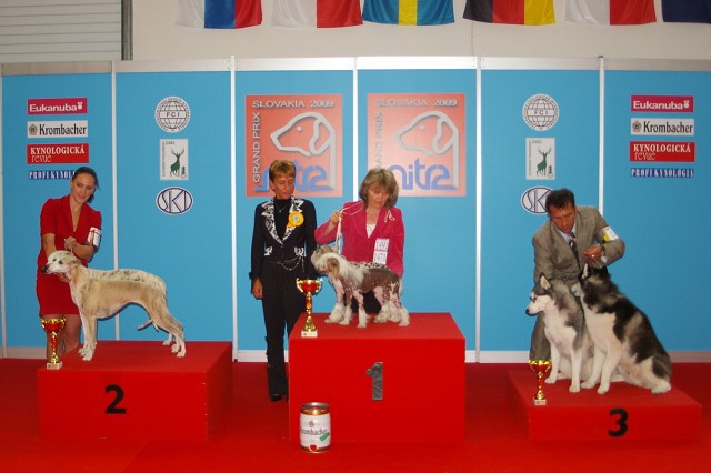 www.dogsk.sk * Kynologická revue * www.eurodog.eu