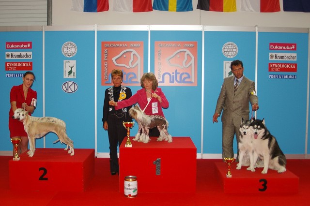 www.dogsk.sk * Kynologická revue * www.eurodog.eu