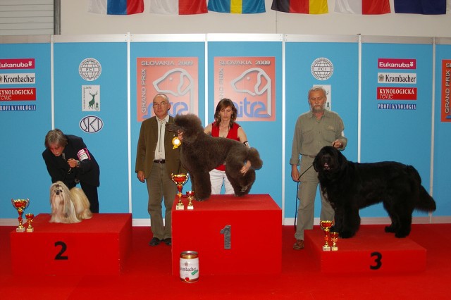 www.dogsk.sk * Kynologická revue * www.eurodog.eu