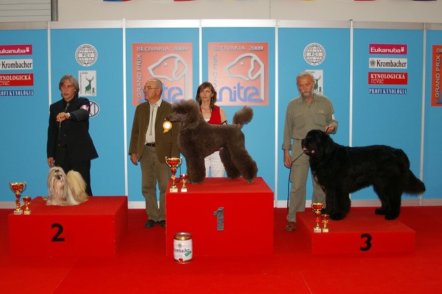 www.dogsk.sk * Kynologická revue * www.eurodog.eu