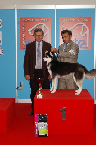 www.dogsk.sk * Kynologická revue * www.eurodog.eu