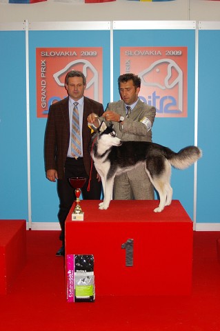 www.dogsk.sk * Kynologická revue * www.eurodog.eu